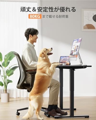 ErGear 電動昇降式デスク ロータイプ 高さ48-72cm コンセント&USBポート付き ローデスク 座椅子机 4パターン高さメモリー機能 静音 収納フック付き 小さめ パソコンデスク テーブル 電動机 ゲーミングデスク【幅90 x 奥行き50 x 高ma ErGear 電動昇降式デスク ロータイプ 高さ48-72cm コンセント&USBポート付き ローデスク 座椅子机 4パターン高さメモリー機能 静音 収納フック付き 小さめ パソコンデスク テーブル 電動机 ゲーミングデスク【幅90 x 奥行き50 x 高ma