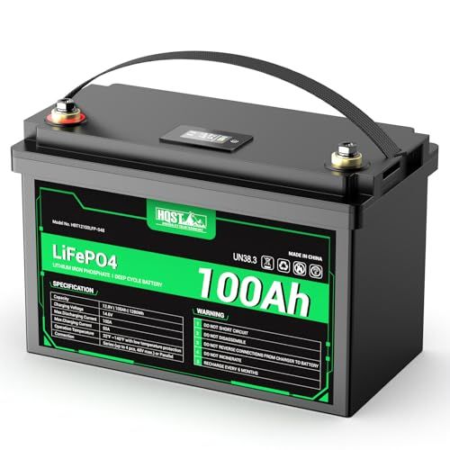 HQST 12V 100Ah LiFePO4リン酸鉄リチウムイオンバッテリー 低温 高温保護付き BMS保護 リチウムバッテリー RV 船 キャンプ場 釣り ソーラー蓄電などに活用可能 直列 並列 (モニター付き) 1280Wh(沖縄・離島の b5c346f6