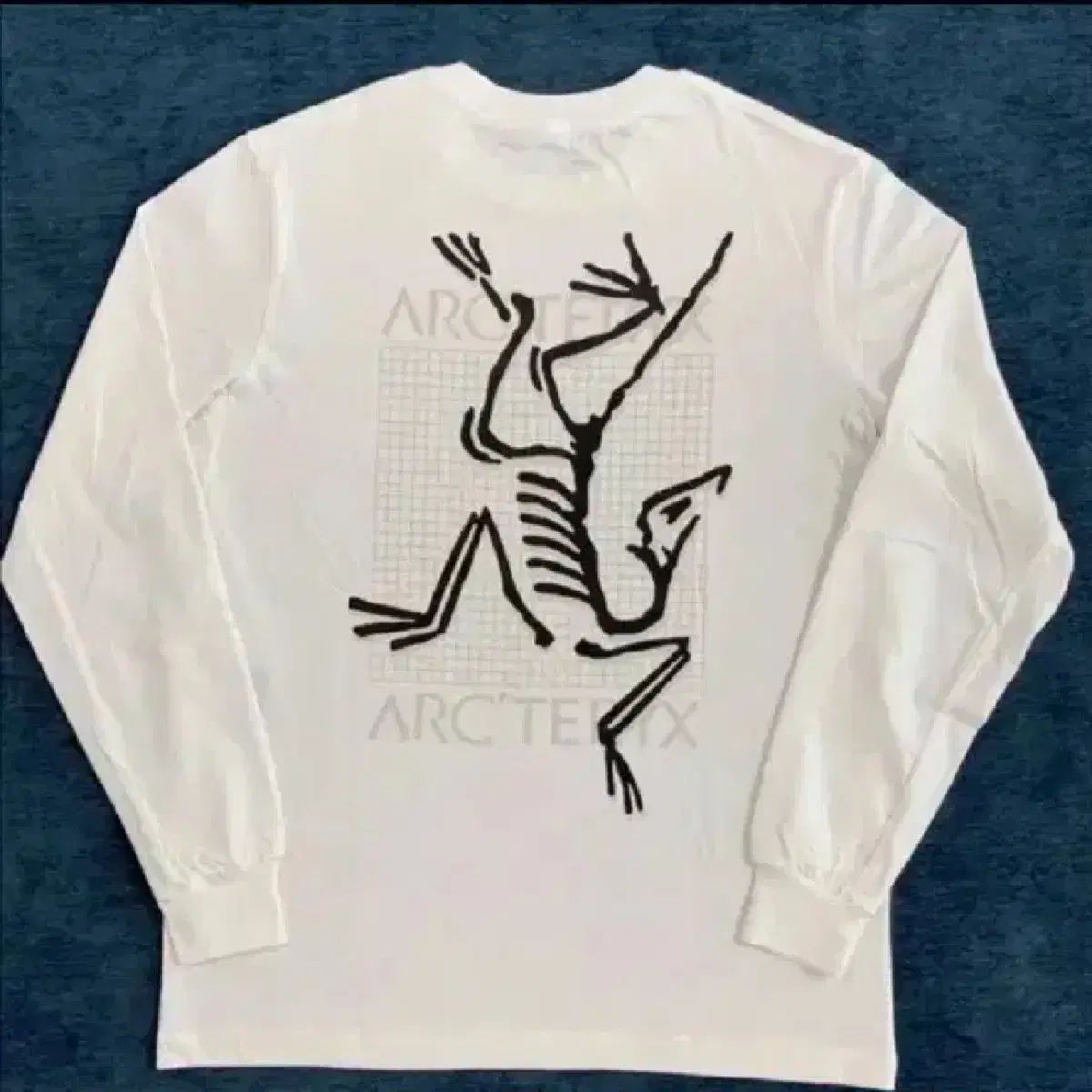 ARC'TERYX アークテリクス クラッグ コットン ロングスリーブ Tシャツ