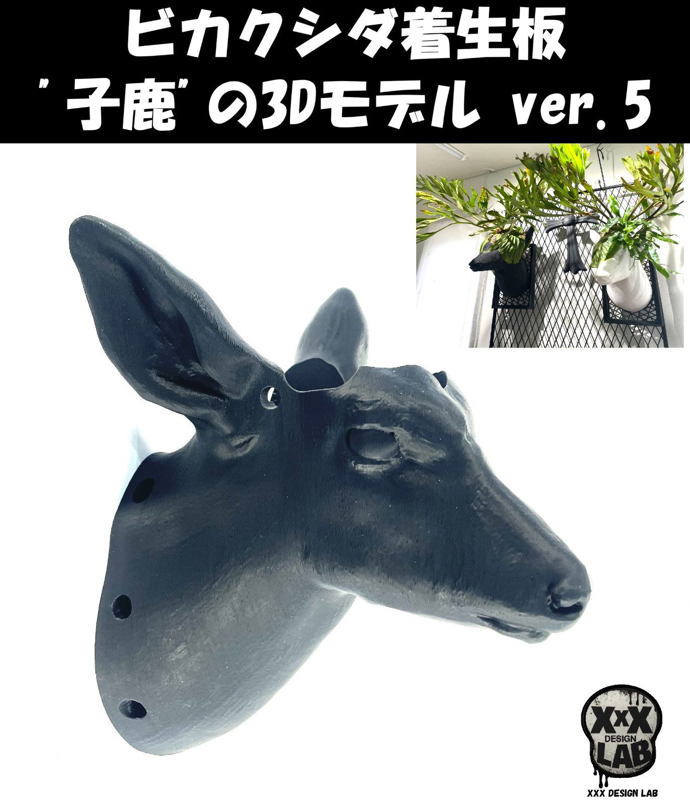ビカクシダ着生板　