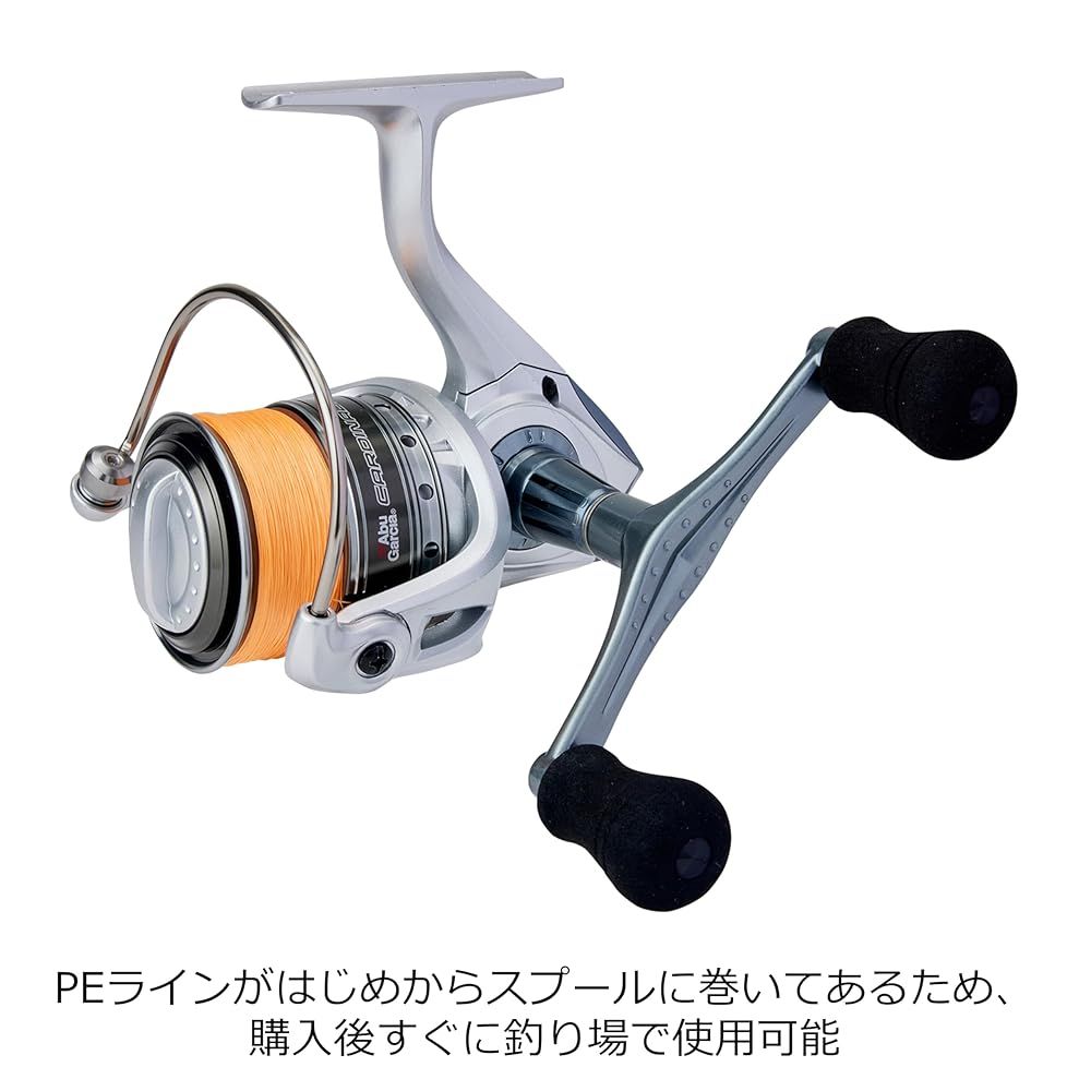 AbuGarciaリール AbuGarcia (アブガルシア) CARDINAL カーディナル III SX2500SHD