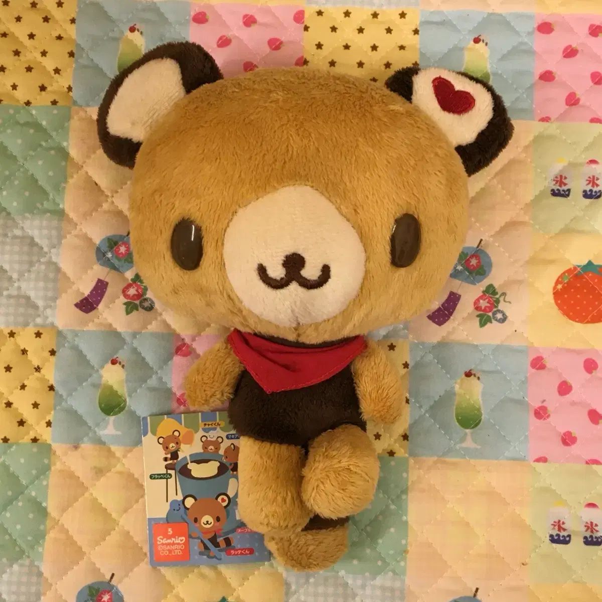 テノリ5匹セット