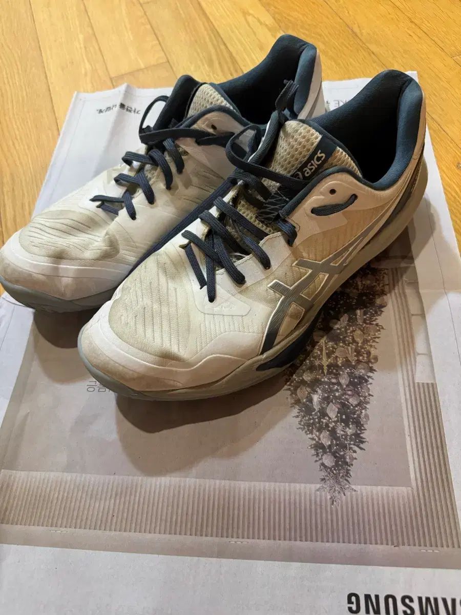 295 asics スカイ エリート FF3