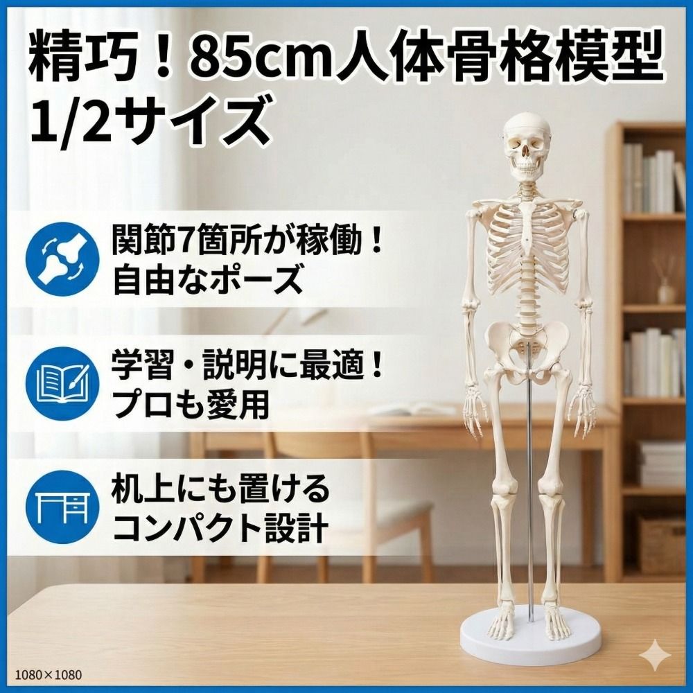 人体骨格模型 85cm 1/2サイズ 骨格標本 スタンド付き 解剖学 学習用 模型 医学 教材 整体 鍼灸 ヨガ 説明用 机上 コンパクト