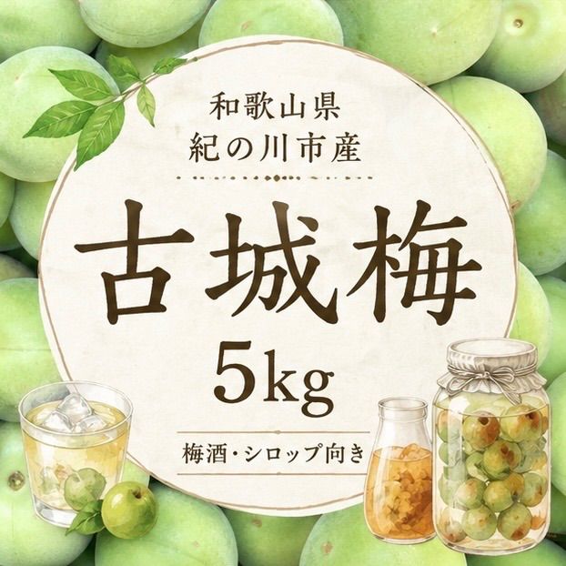 【和歌山県産】古城梅（こじろうめ）5kg ｜青いダイヤ｜梅酒 梅シロップ 向き 青梅