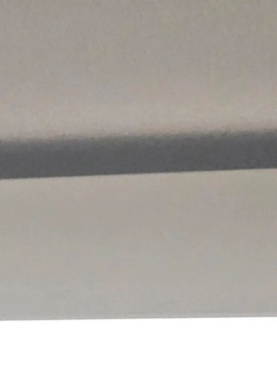 背中