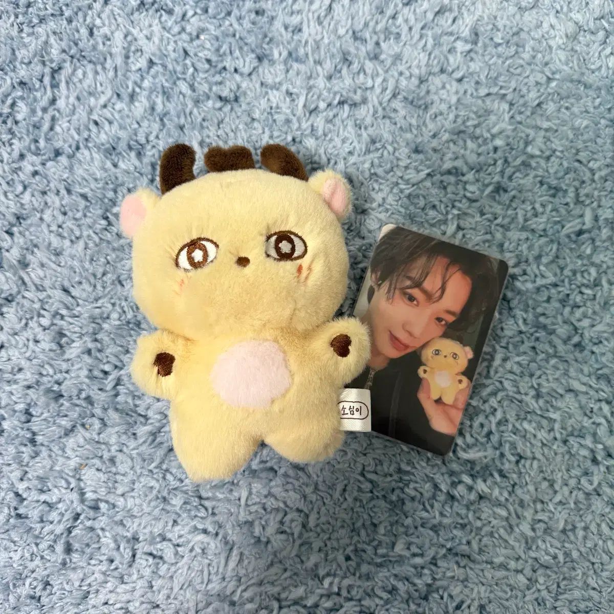 ぬいぐるみ 소심이 パクジフン パク・ジフン(PARK JIHOON) - ] 박지훈
