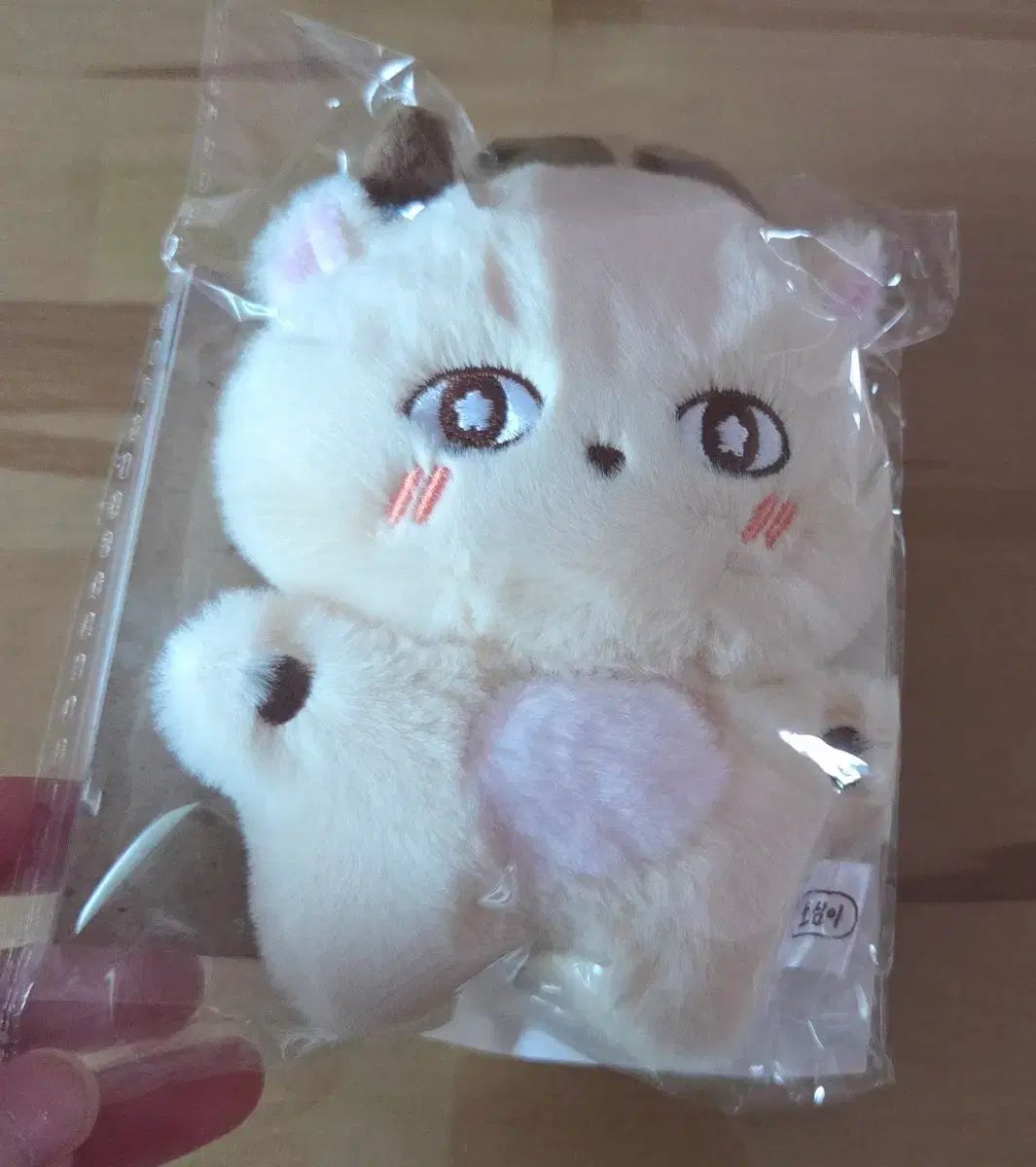 パク・ジフン(PARK JIHOON) 소심이 ぬいぐるみ ぬいぐるみ 소심이 パク