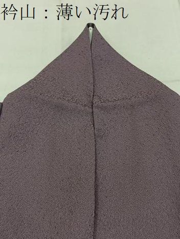 平和屋着物□本草木染作家 圓啓 江戸小紋 鮫小紋柄 正絹 逸品
