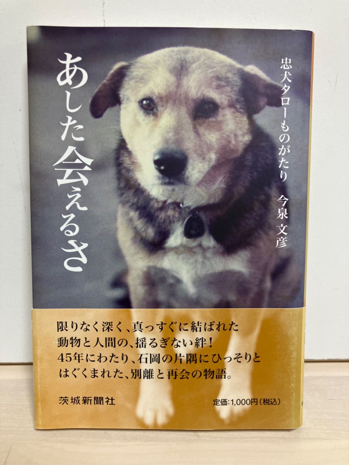 あした会えるさ―忠犬タローものがたり