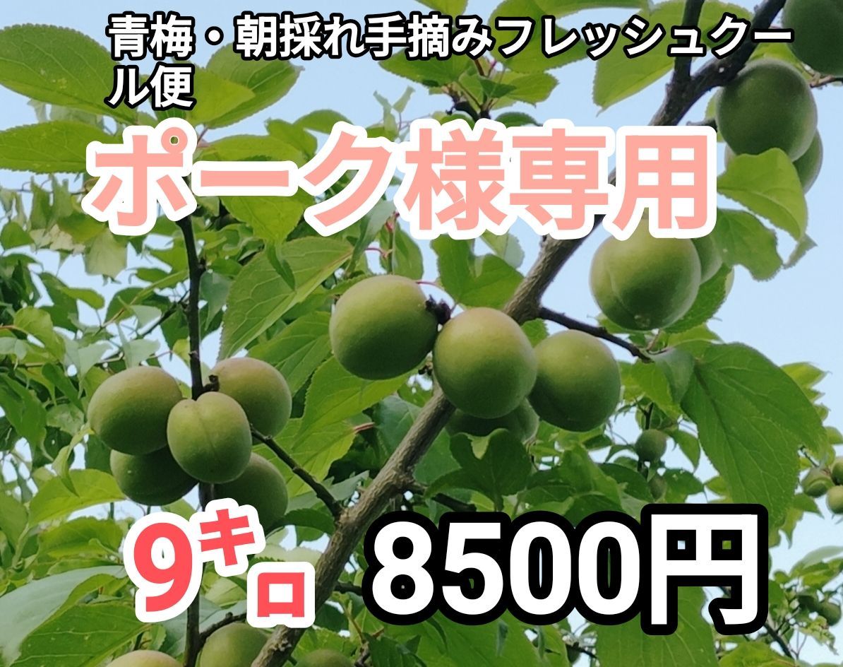 【ポーク様専用出品】青梅・9㌔近く