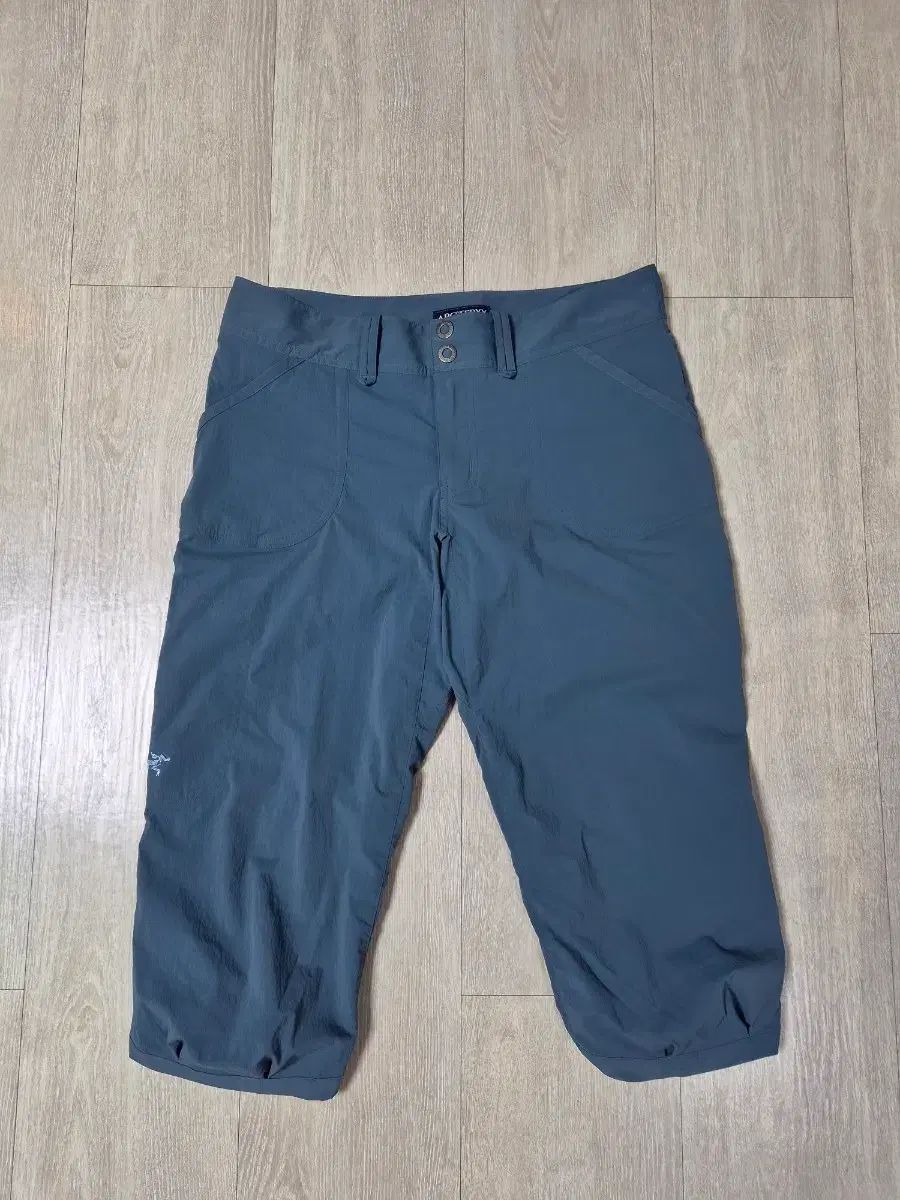 (ほぼ新品) ARC'TERYX アークテリクス レディースパンツ(30)