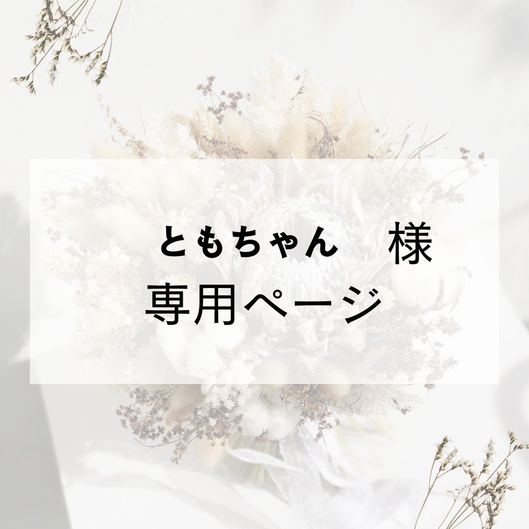 ともちゃん様専用 【公式通販】