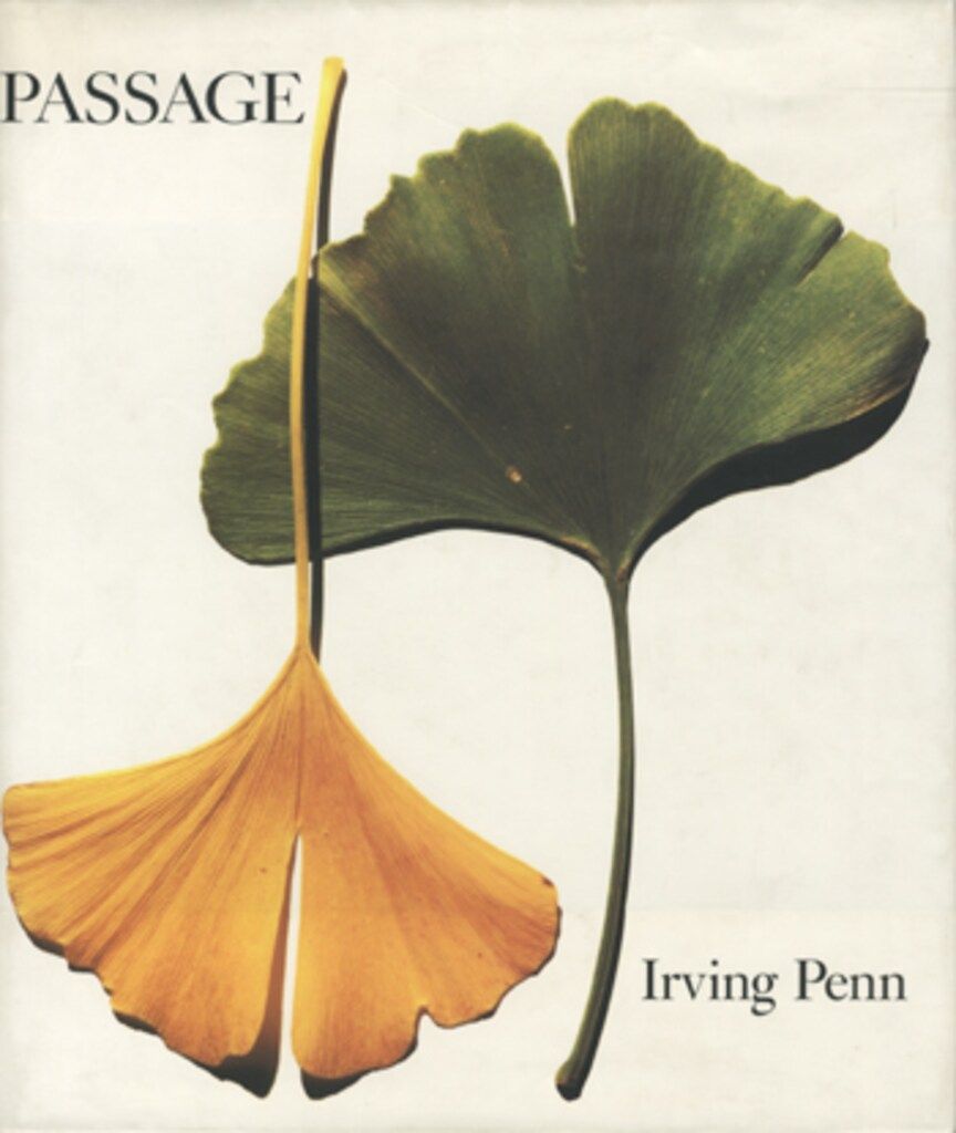 Irving Penn PASSAGE