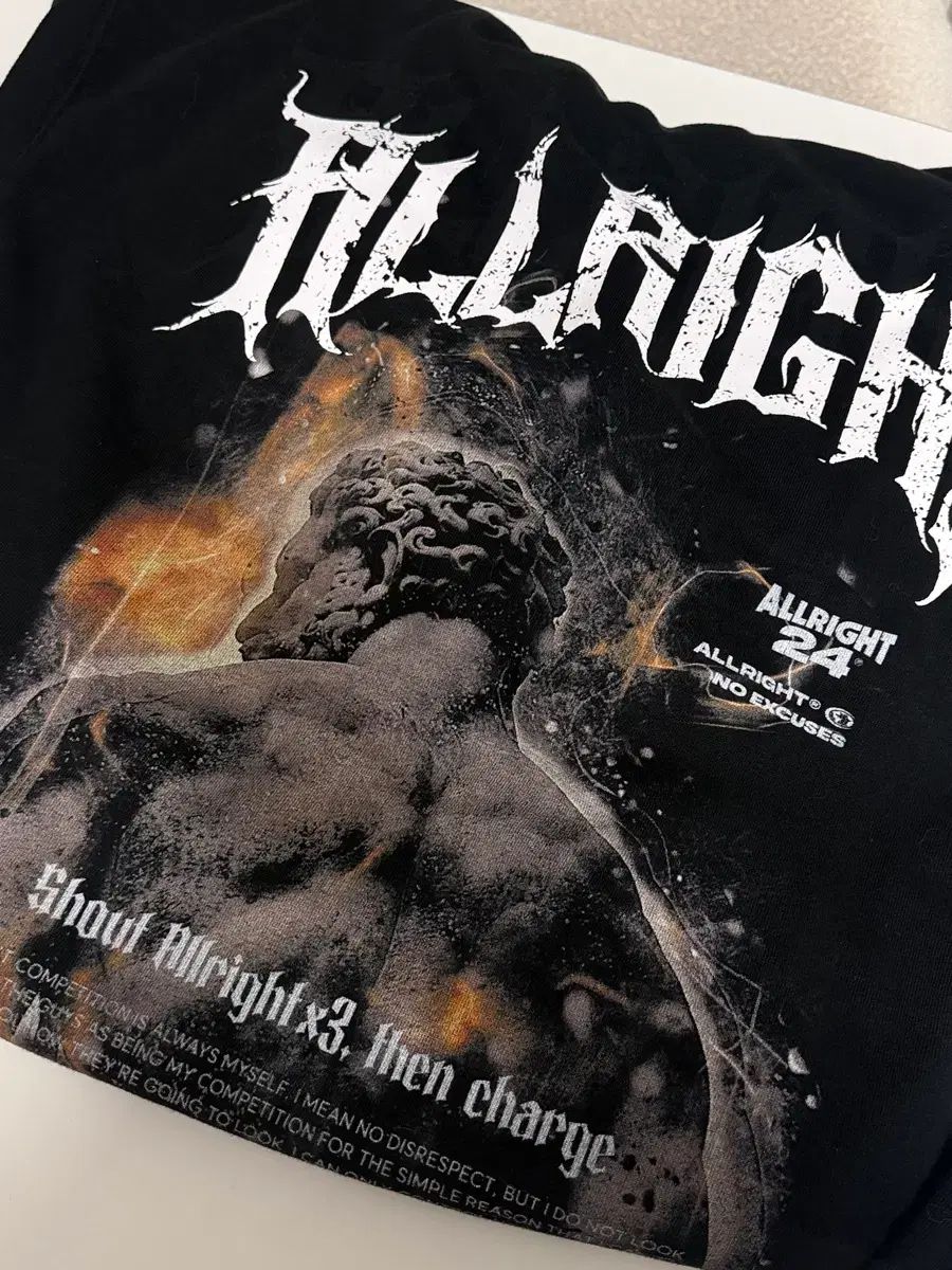 オールライト フーディー ジップアップ 2XL
