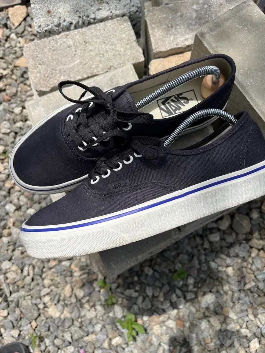 VANS アセンティック