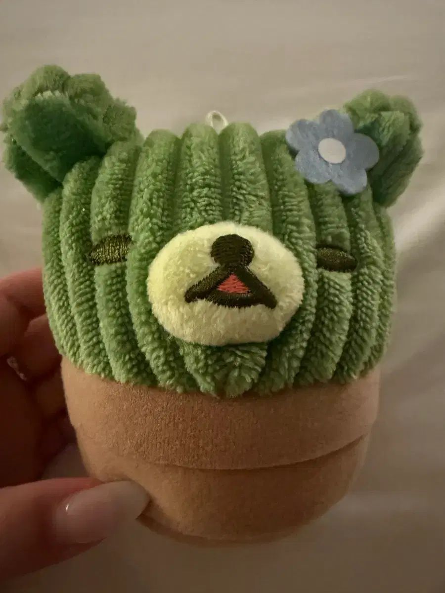 サボテン リラックマ