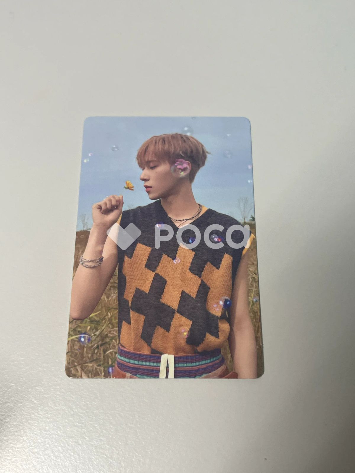 ALPHA DRIVE ONE アルノ EUPHORIA RANDOM TRADING PHOTO CARD SET