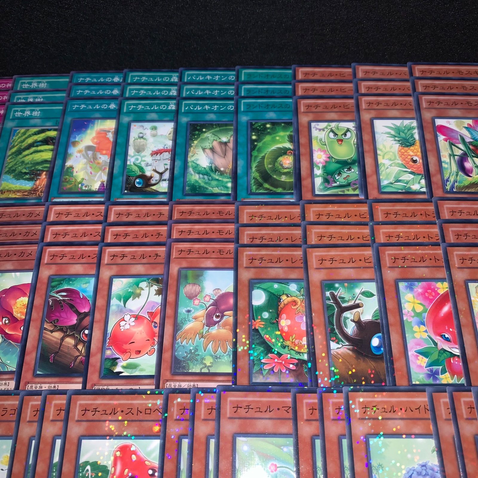 遊戯王 KYP816 ナチュルデッキ DT ターミナル ナチュルエクストリオ
