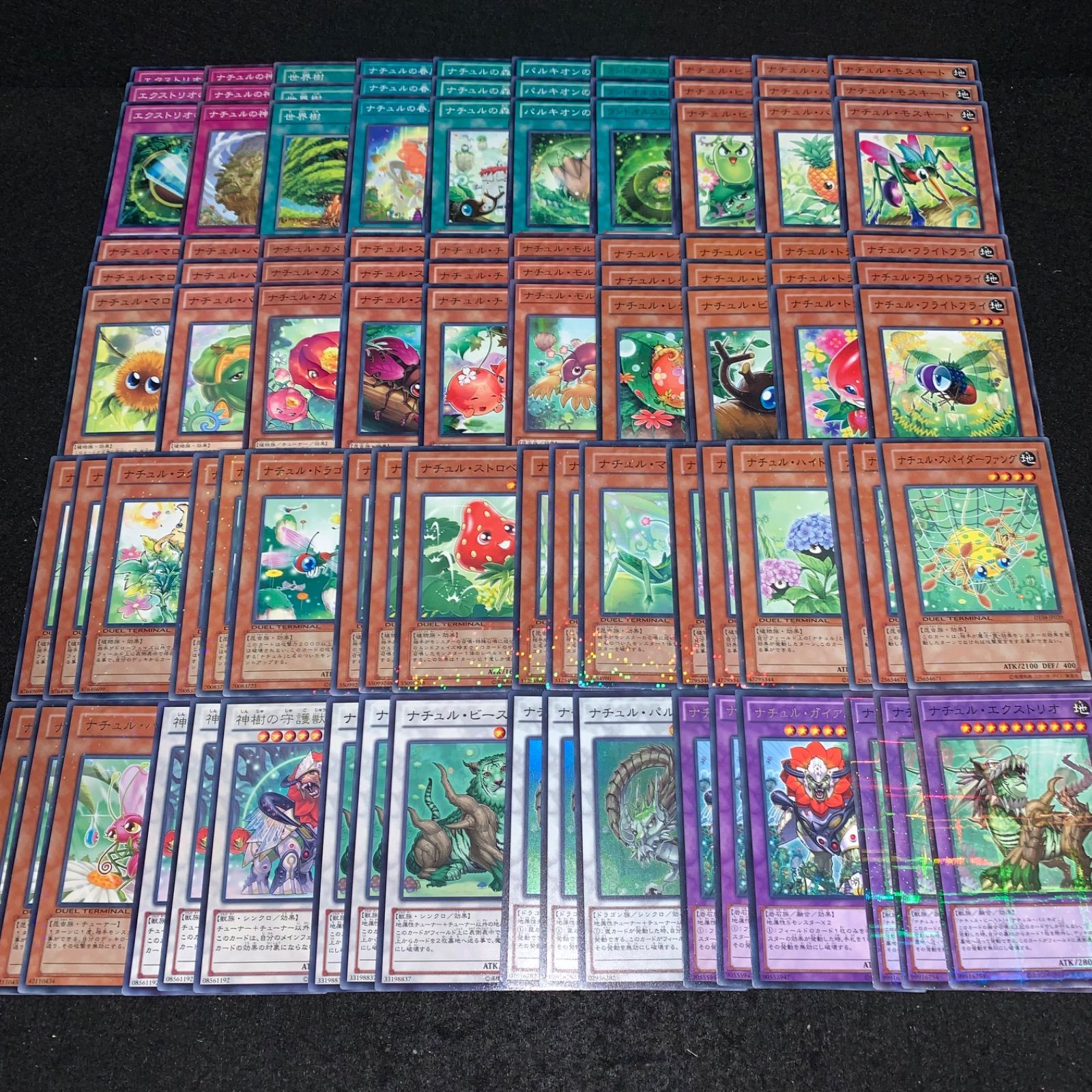 遊戯王 KYP816 ナチュルデッキ DT ターミナル ナチュルエクストリオ