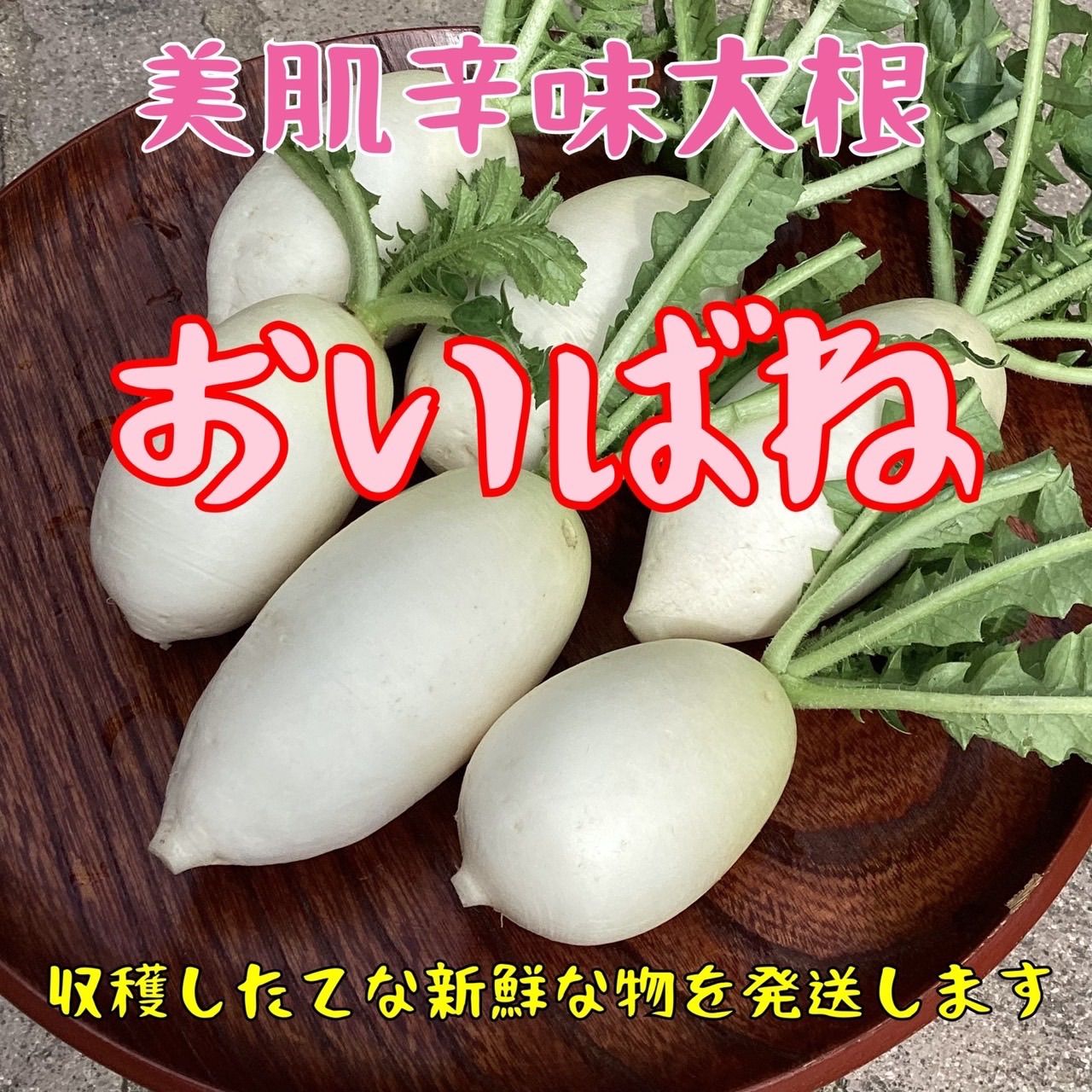 新春特価　立垣為良　岡山県産　農薬不使用　無肥料　ねずみ大根50本辛味大根 岡山県産 辛味大根 1kg 無肥料 ミニサイズ - メルカリ