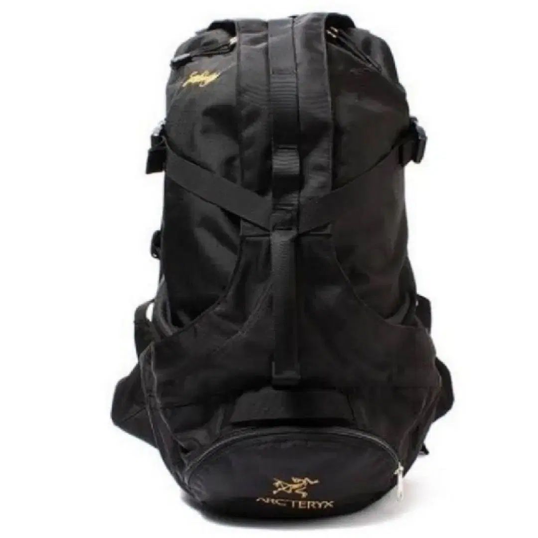 ARC'TERYX アークテリクス × BEAMS ビームス 40周年 別注 セブリング バックパック ブラック
