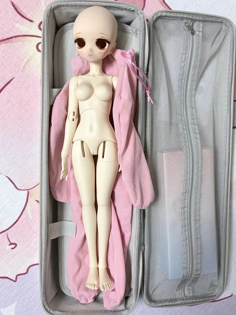 フェアリーキャッスル MDD 互換 ボディ 出品
