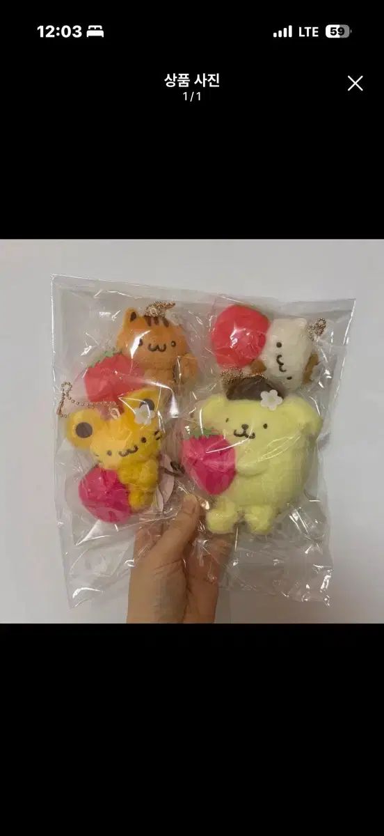 決済画面2 8,313円