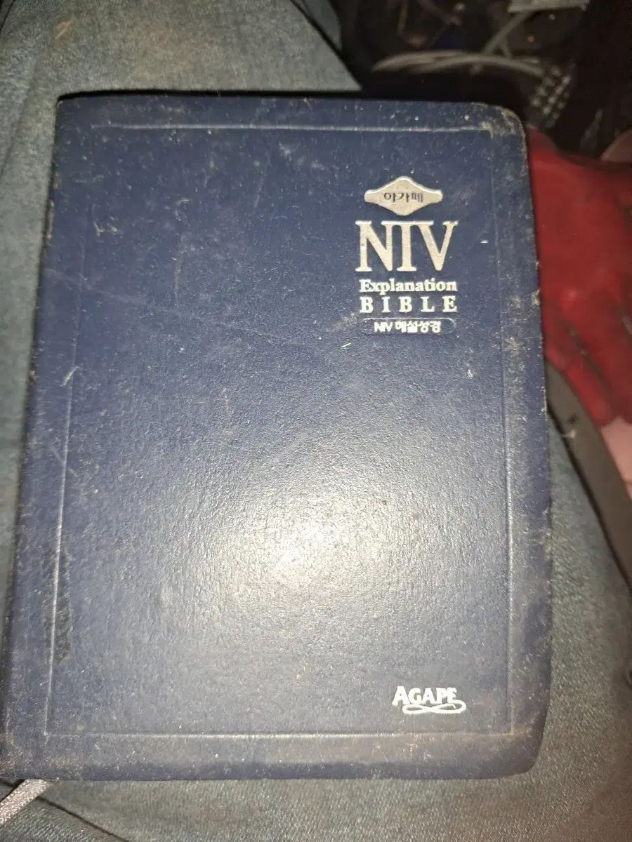 アガペ NIV 解説城