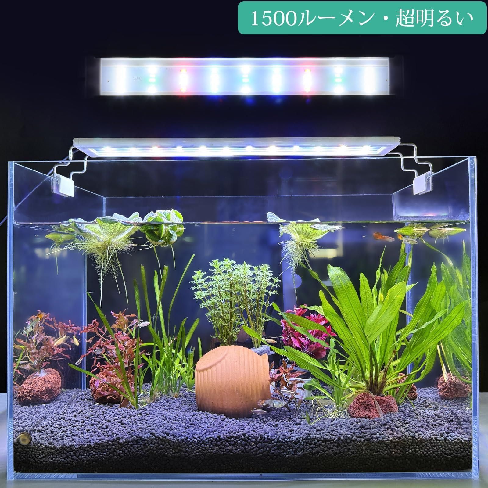 水槽用ライトセット 水槽 照明 青」の人気商品一覧・価格比較 - 価格.com