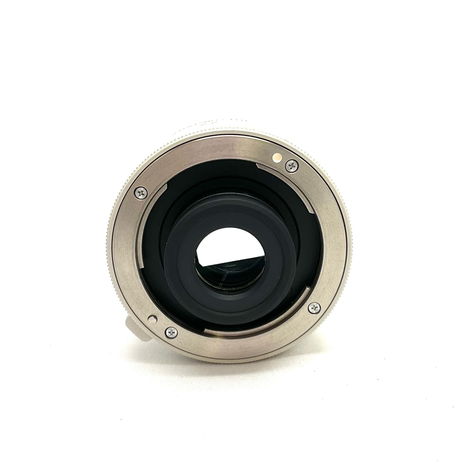 【全額返金保証】【最速発送】Sony TELE CONVERTER 2x SEL20TC 美品 動作確認済