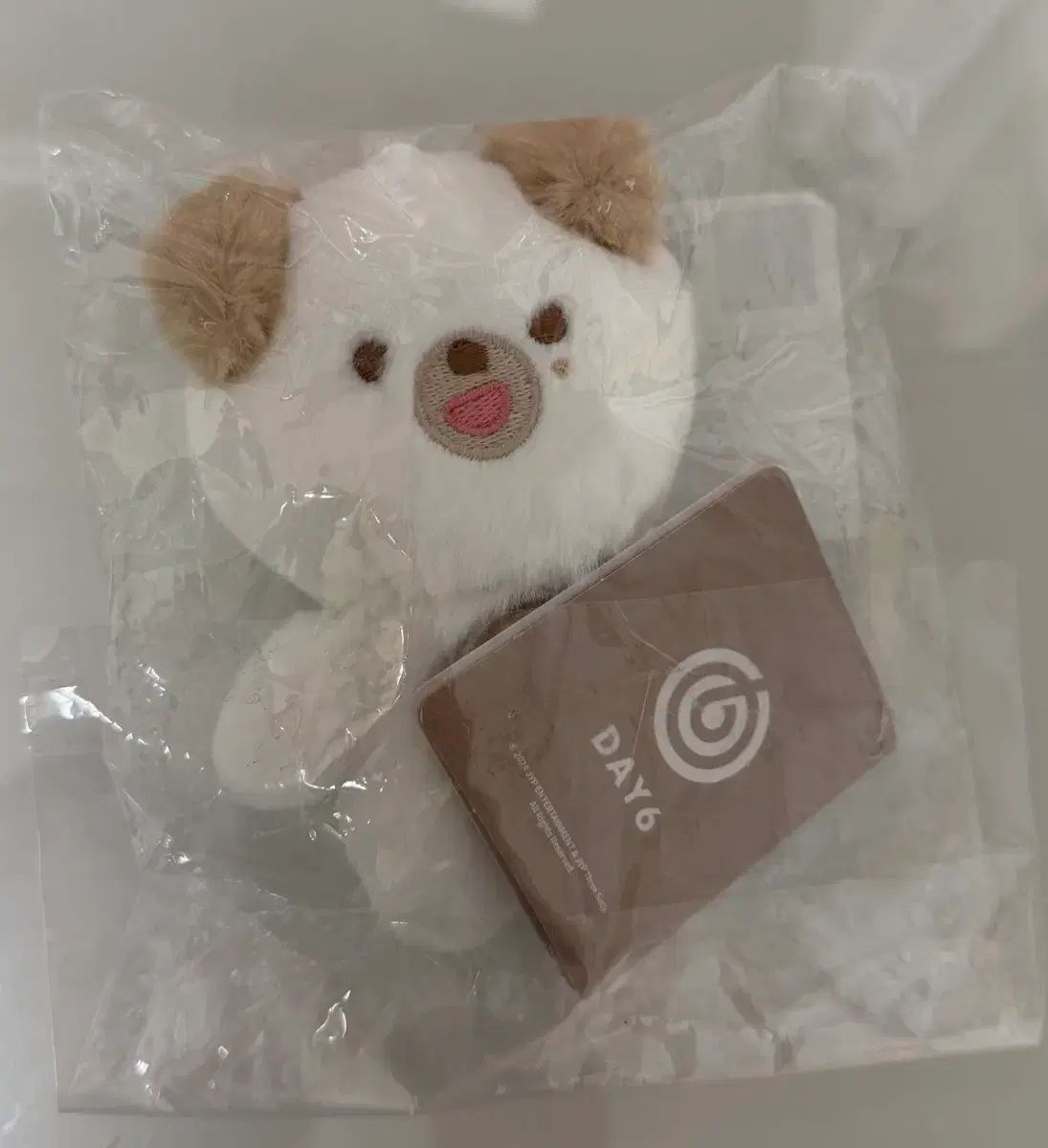 未使用) DAY6（デイシックス） プチぬいぐるみ ドウン(DOWOON) ドニDON