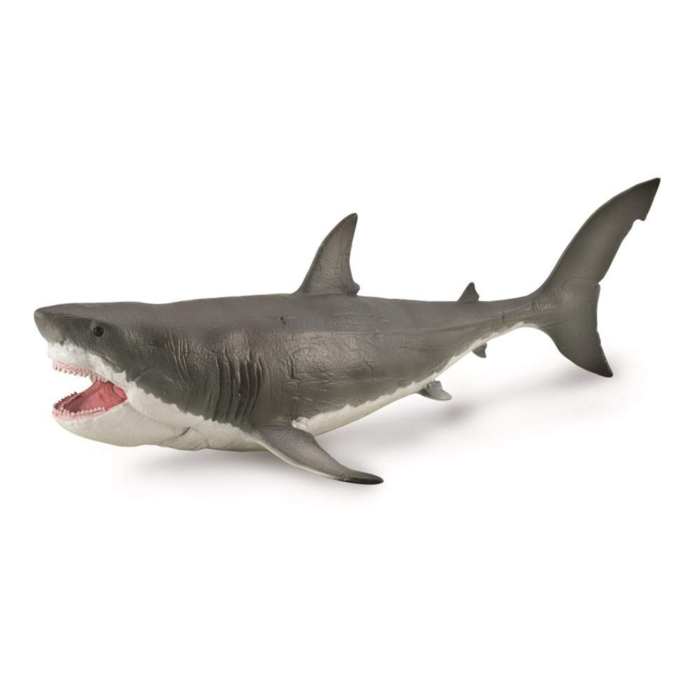 新品 COLLECTA 恐竜フィギュア カルカロクレス・メガロドン 88887