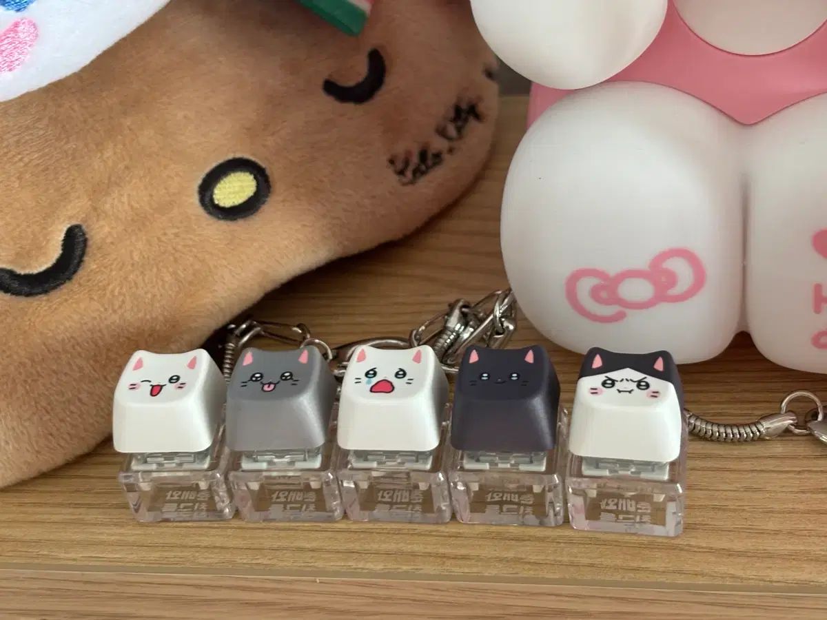 (택배込み) 백다방 チュンベ キーキャップ まとめ売り 5 品種