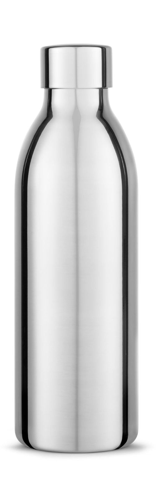 aarke (アールケ) 国内正規品 カーボネーター3専用 ステンレススチールボトル (450ml) ステンレスボトル ステンレス製 シルバー 保冷 持ち運びt 3f72fce1