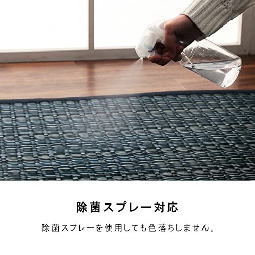 イケヒコ ラグ カーペット 日本製 ポリプロピレン カーペット バルカン