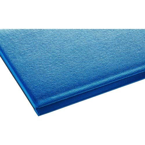 新品 テラモト テラクッション極厚 450×600 ブルー MR0690203