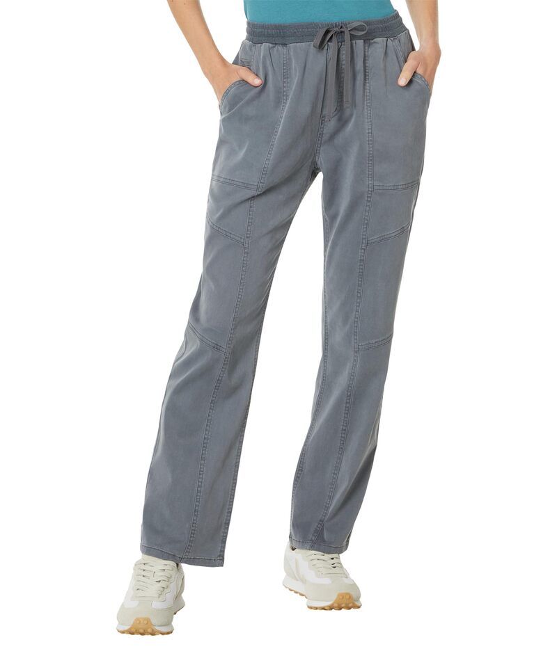 スプレンディット レディース ボトムス カジュアルパンツ Splendid Shay Twill Pantstone ストーン