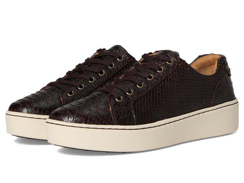 ボーン レディース アンダーウェア 靴下 Born Mira Brown Snake Print ブラウン