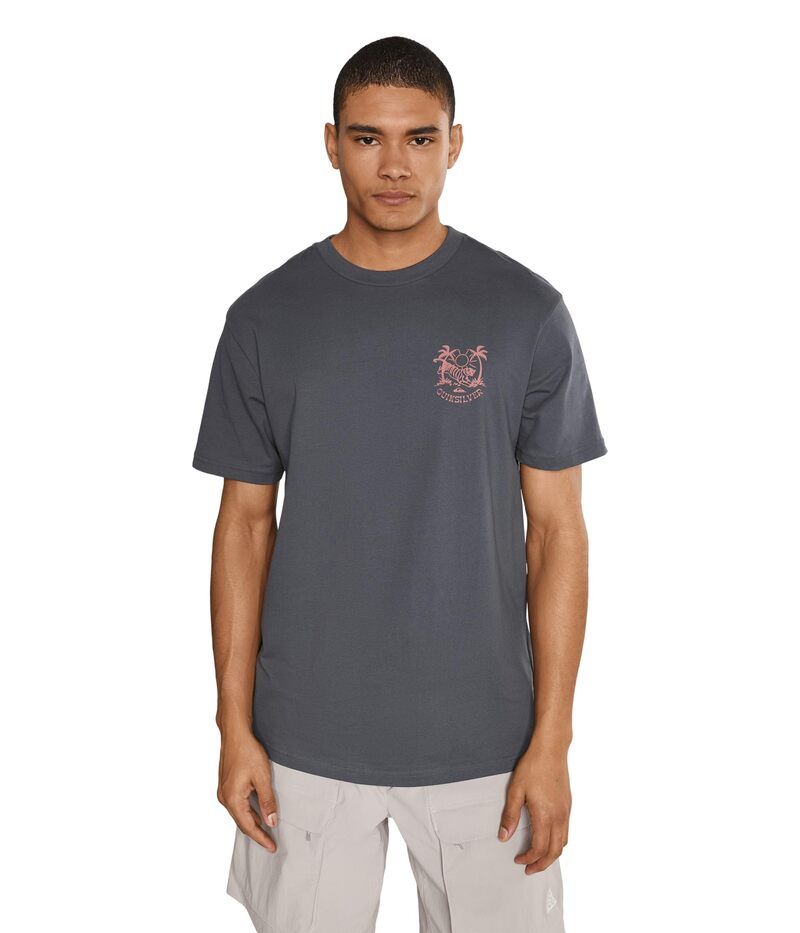 クイックシルバー メンズ トップス シャツ Quiksilver In The Wild Screen Tee Iron Gate