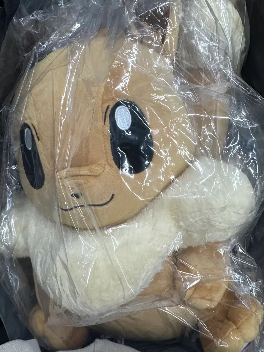 ポケモン スポーツデイ イーブイ バックパック 未開封 新品 商品 出品