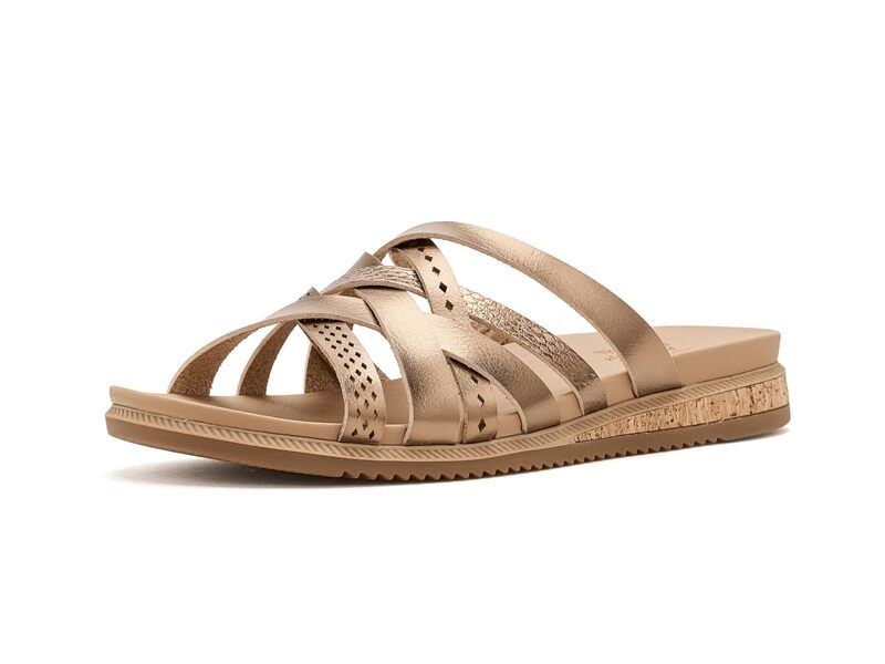 スケッチャーズ レディース シューズ サンダル BOBS from SKECHERS Desert Kiss Low Sunny Strolls Bronze