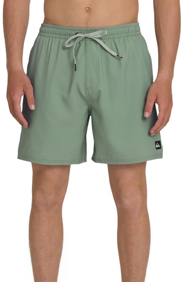 クイックシルバー メンズ 水着 ハーフパンツ・ショーツ Quiksilver Everyday 17 Solid Stretch Swim Trunks Lily Pad