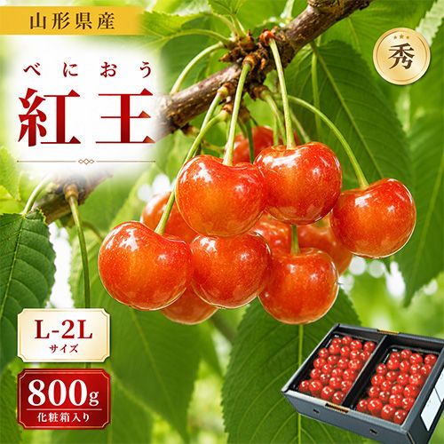 7月上旬～中旬お届け予定 さくらんぼ 大粒 ギフト プレゼント お中元 贈答用 紅王 やまがた紅王 山形県産 秀2L-L 800g クール便 送料無料