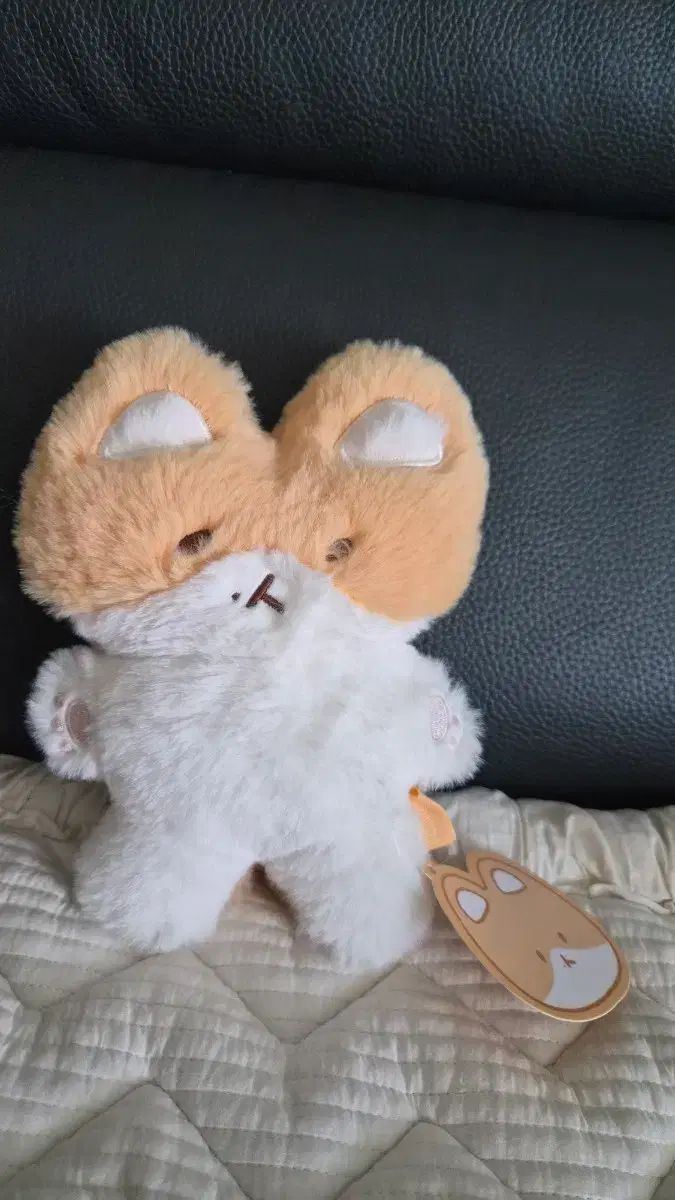 飯田ヒカル ちびぬい 香港限定 飯田ヒカル ちびぬい Hong Kong Fan