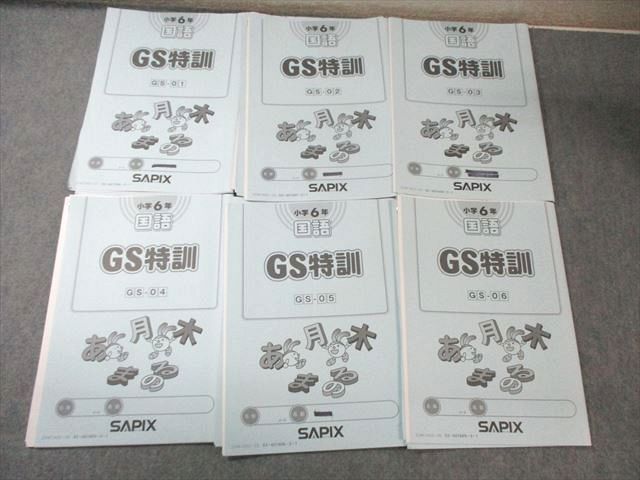 SAPIX 小6 サピックス GS特訓 国語(GSｰ01〜06) 【計6回分】 2024 013m2D SAPIX 小6 サピックス GS特訓 国語(GSｰ01～06) 【計6回分】 2024 013m2D