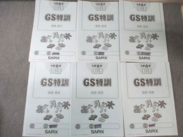 SAPIX 小6 サピックス GS特訓 国語(GSｰ01～06) 【計6回分】 2025 020m2D