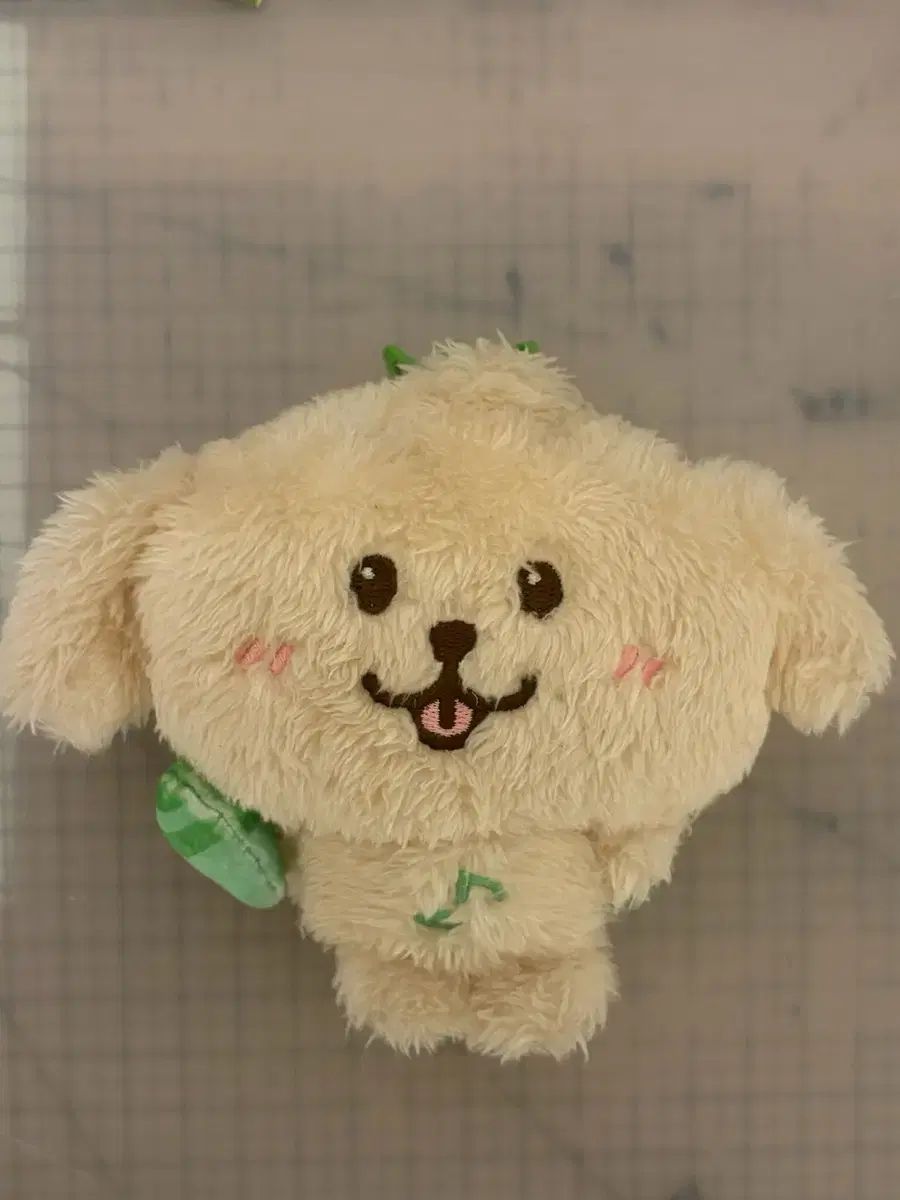 NCT WISH ジェヒ ぬいぐるみ デントリバー WISH ジェヒ デントリバー
