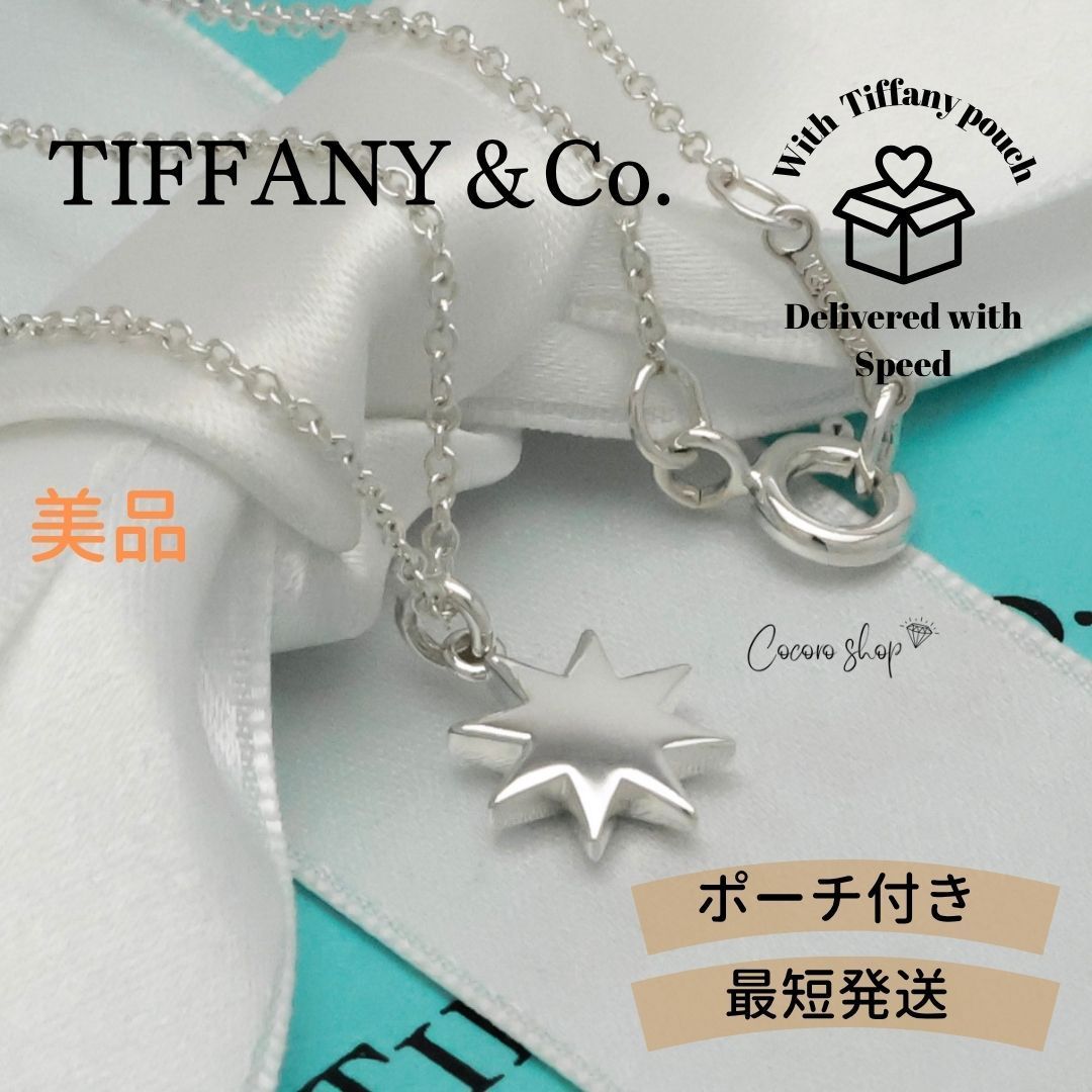 【美品】ティファニー TIFFANY&Co. サン スター パロマピカソ ネックレス AG925