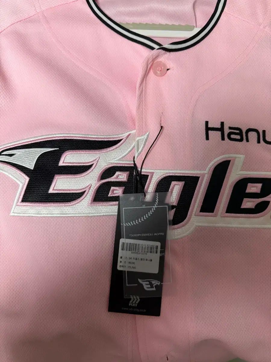 Hanwhae Eagles Pingフォーム 95